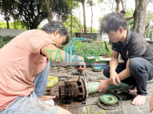 Dịch vụ thay Luppe tại TPHCM