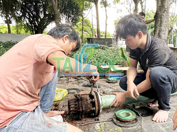 Dịch vụ thay Luppe tại TPHCM